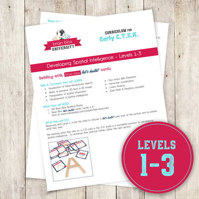 Developing Spatial Intelligence - Levels 1-3 (Curriculum)