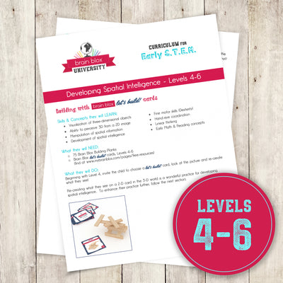 Developing Spatial Intelligence - Levels 4-6 (Curriculum)